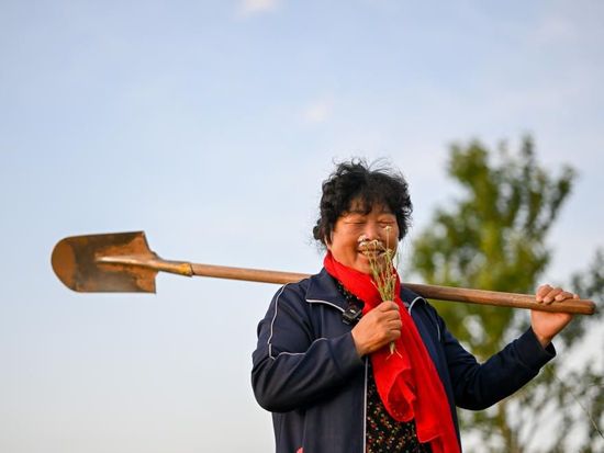 Chinese sand-control pioneer Yin Yuzhen named among FAO's 100 women heroes