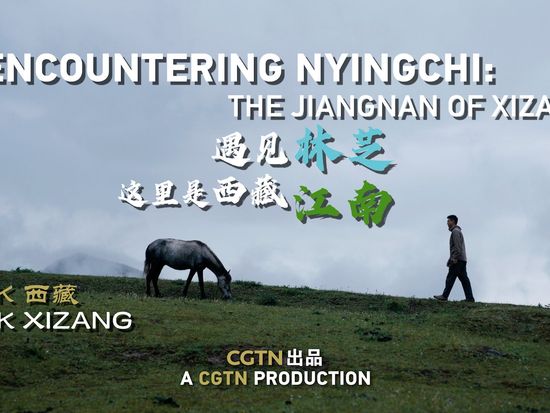 Encountering Nyingchi: The Jiangnan of Xizang | Talk Xizang