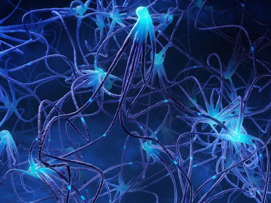 Single brain cells work like tiny computers, Chinese study finds, with lessons for AI