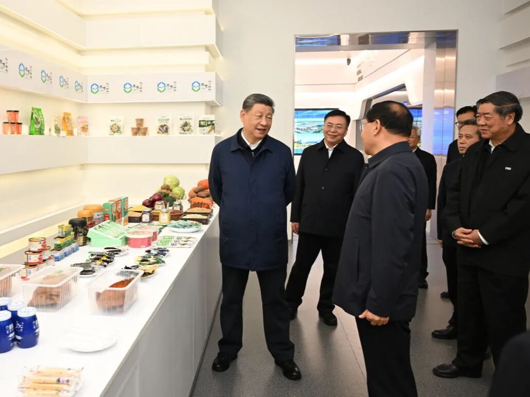 Xi stresses prioritizing ecological conservation, pursuing green development
