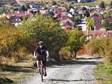 View of Modra, Slovakia