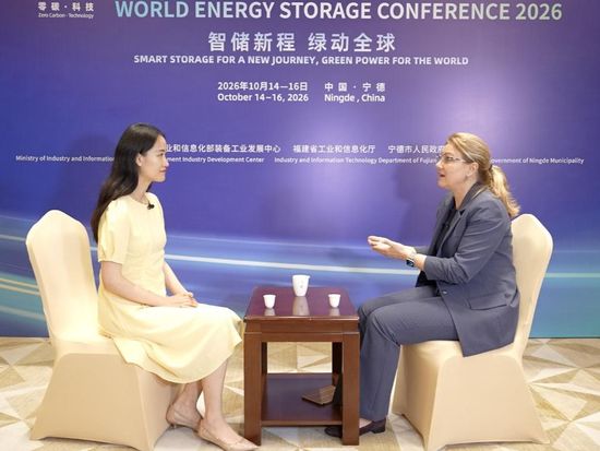 IRENA Coalition head urges global teamwork as energy storage grows
