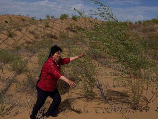 UN recognises three Chinese women for rural contributions