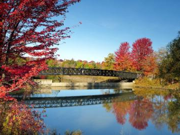 Autumn scenery of Greater Toronto Area in Ontario, Canada