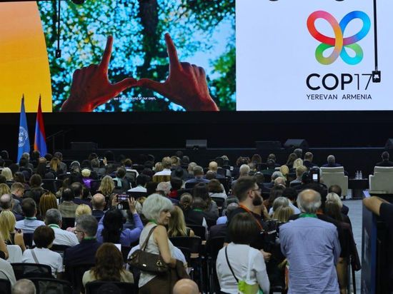 COP17 opens in Armenia for global progress review