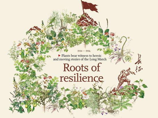 Plants bear witness to heroic and moving stories of the Long March