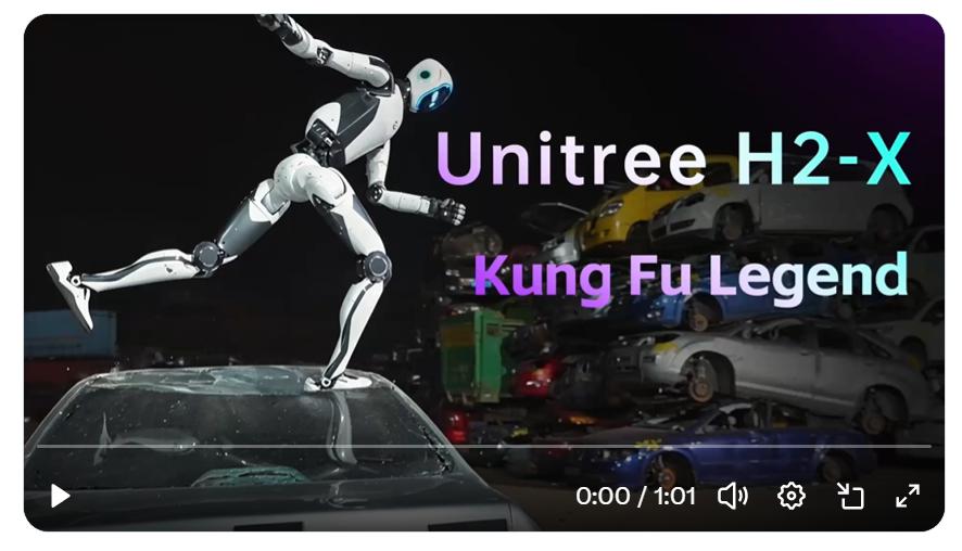 Unitree's H2-X Kung Fu Legend Guardian. Photo: a screenshot of Unitree's demonstration video