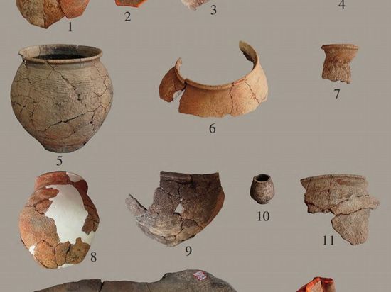 6,000-year-old alcohol brewing practices revealed at archaeological site in North China