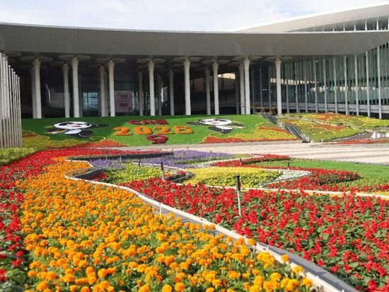 9th CIIE set to see record number of product debuts
