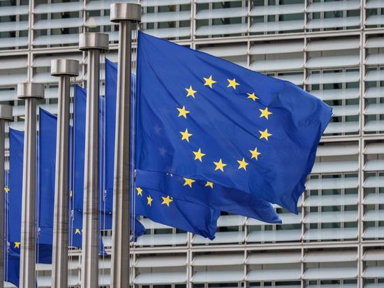 MEPs visit China amid EU's mixed trade signals; experts warn Brussels' 'dual track' approach undermines good-faith talks