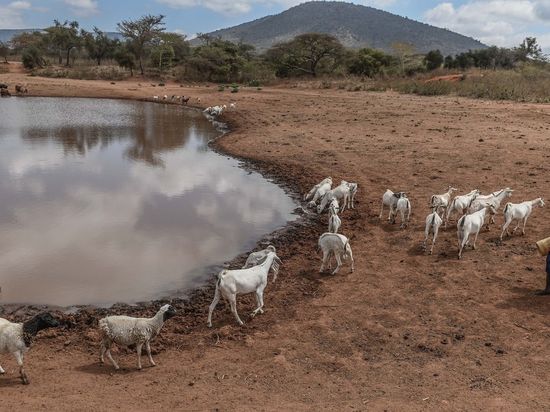 Oxfam: World's richest 0.1% produce more carbon than poorest 3.5 billion
