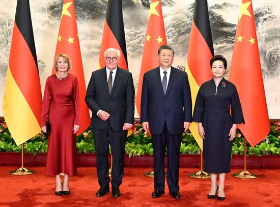 Xi holds talks with German president, calls for opening new chapter in all-round strategic partnership