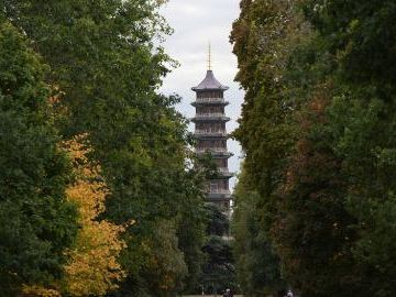 Visiting Kew through lens of biodiversity conservation