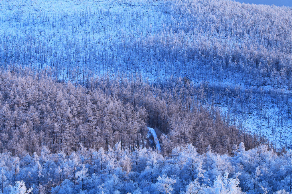 National tree planting day a glance at china s lush forests