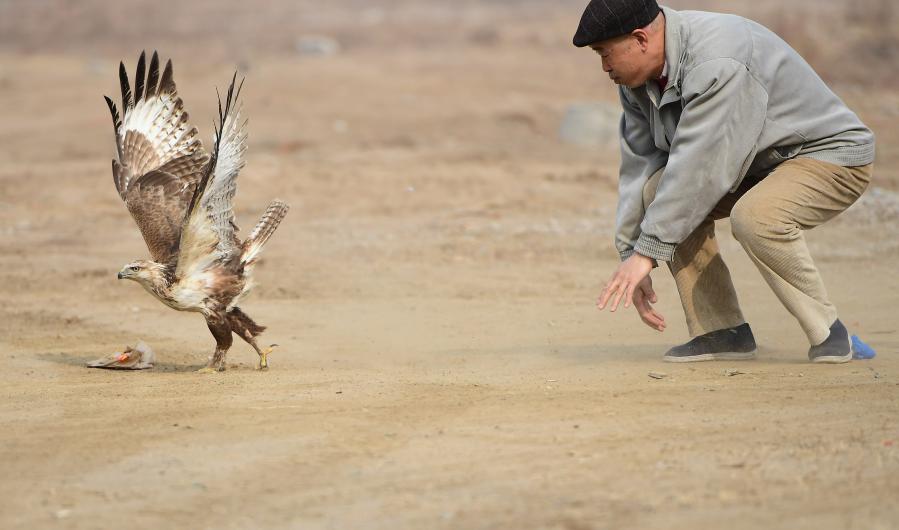 Nature reserve in China reports record number of raptors sighted