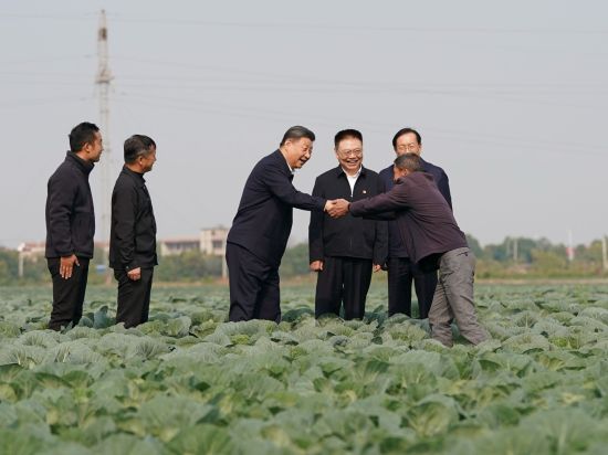 Xi urges accelerating rural revitalization