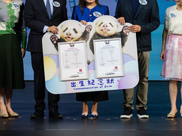 Hong Kong-born giant panda twins named Jia Jia, De De