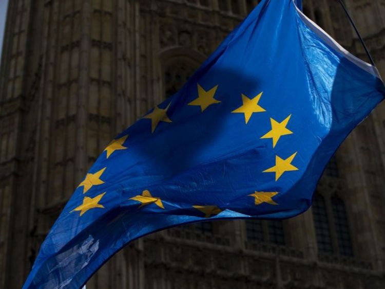 EU urged to respond firmly as Trump's tariff threat sparks outrage