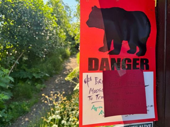 Anchorage warns hikers after 2 bear attacks in a week
