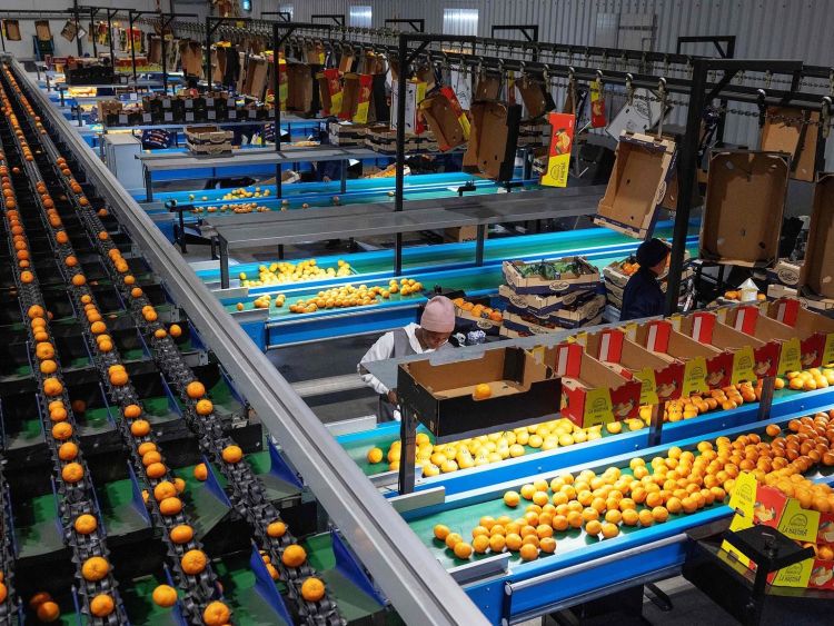 Trump's new tariffs deepen global divides amid economic fallout