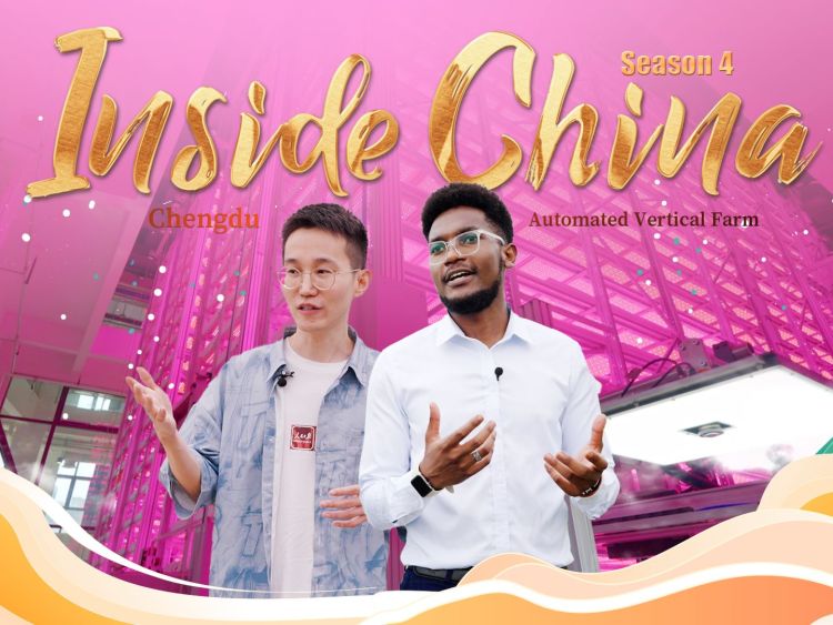 Inside China 4 | A tour of the world's first unmanned, ultra-high-rise indoor vertical farm