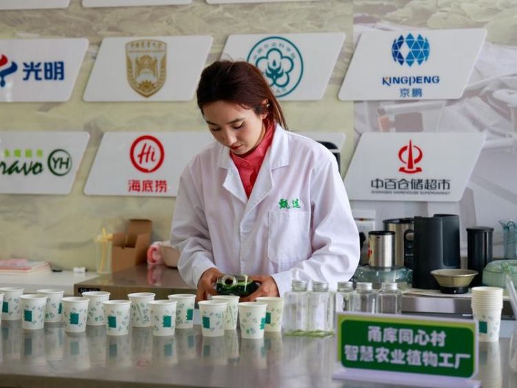 Xinjiang attracts rising investment in first 3 quarters