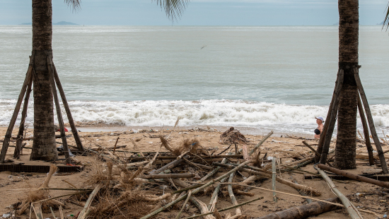 Natural disasters cause nearly $3.9 billion in losses in Vietnam