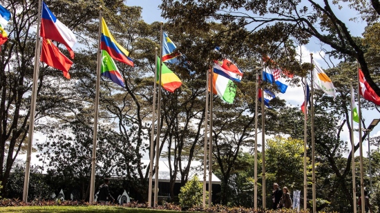 Chinese-backed biodiversity fund lauded for advancing green agenda