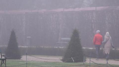 Dense fog observed in Vienna, Austria