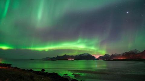 Aurora seen at night in Reine, Norway