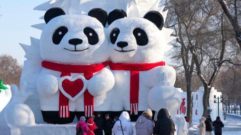 38th Sun Island Int'l Snow Sculpture Art Expo opens for trial