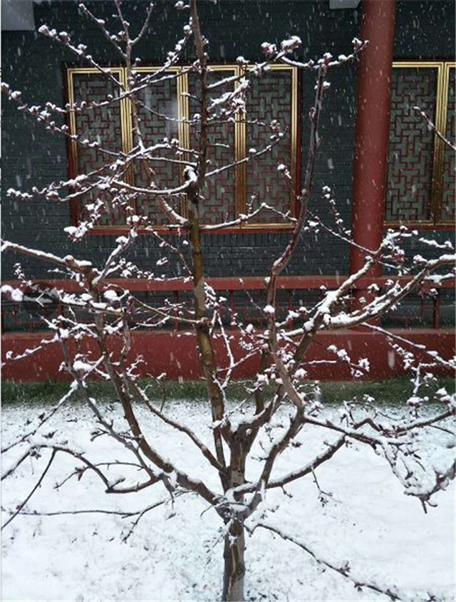 rmrb_27481522746131.jpg