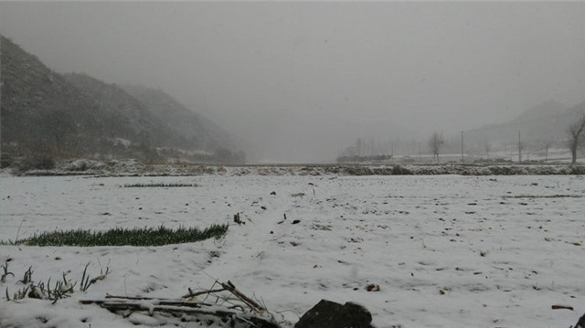 rmrb_88721522746131.jpg
