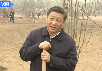 微信图片_20180402202747.png