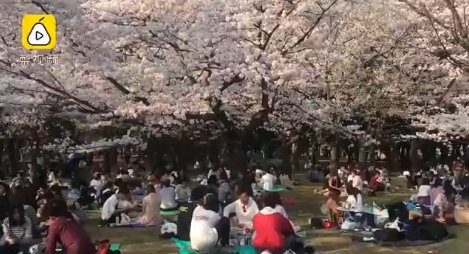 1522571563(1).png