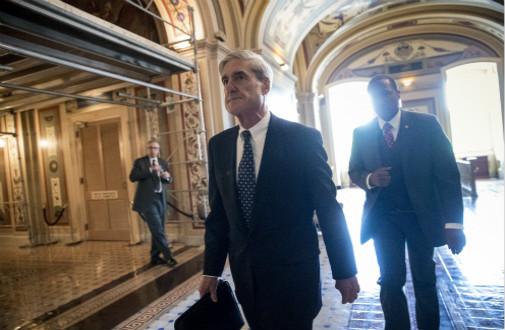 mueller.jpg