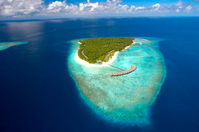 maldives-island.jpg