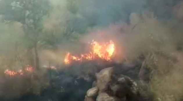 Fire_630_630.JPG