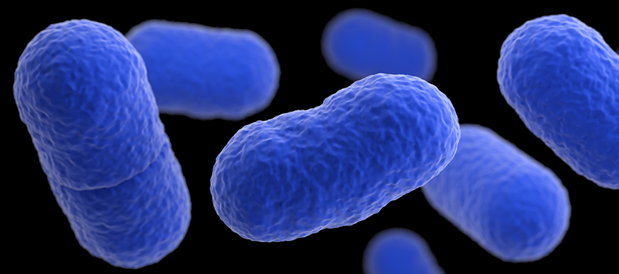 listeria_875px.jpg