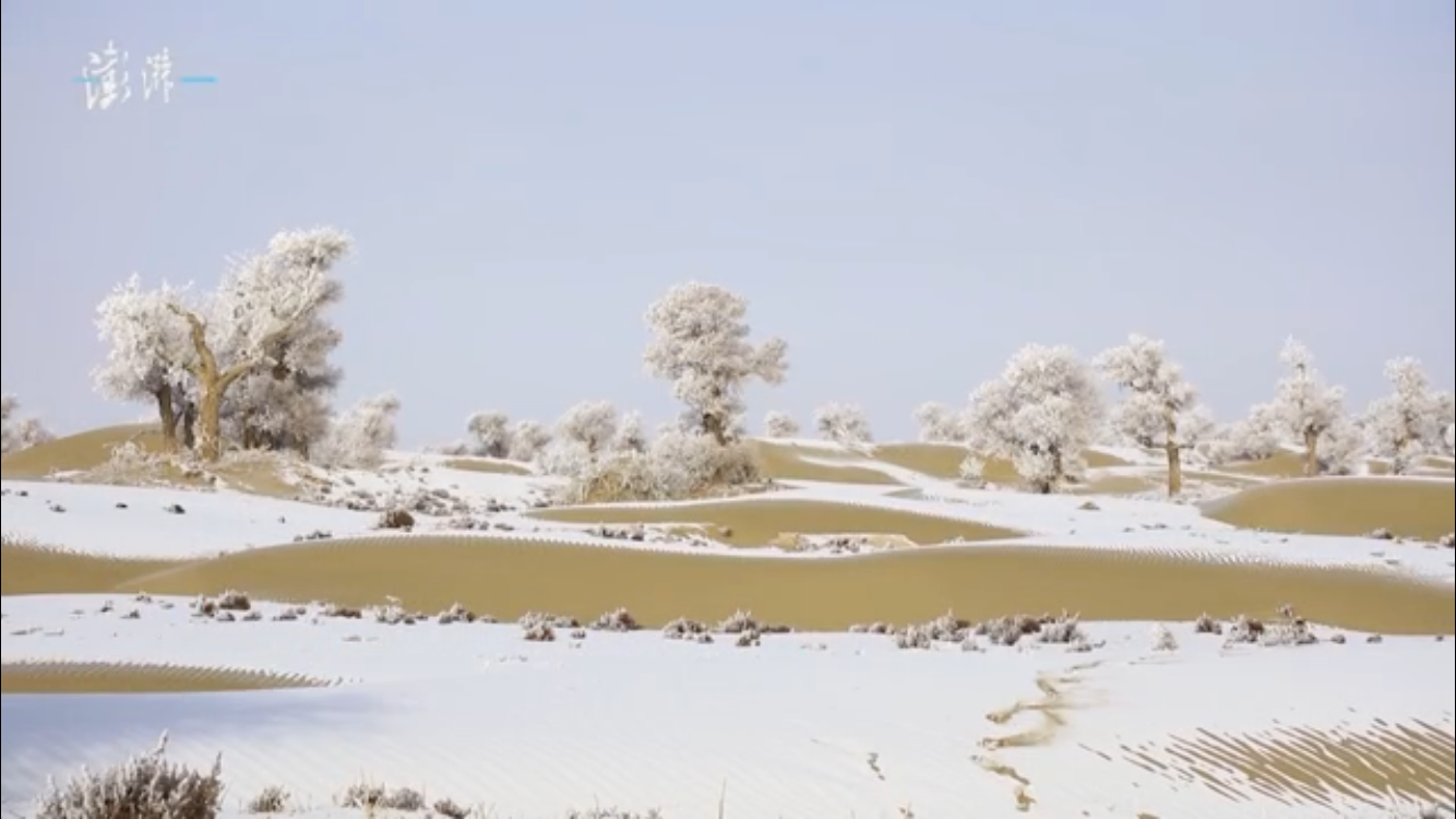 微信图片_20180201233709.png