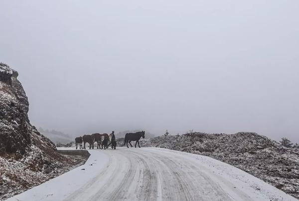 微信图片_20180114105522.jpg