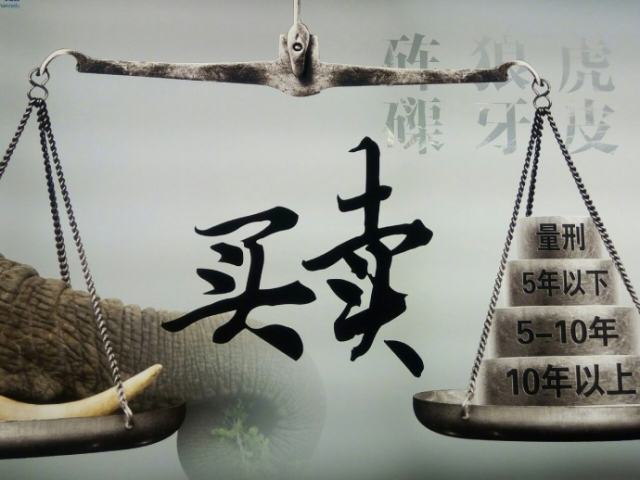wpr9-fyqefvw5898436.jpg