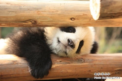 17456be89e2ffba7c104bb0b139eaf8f_副本.jpg