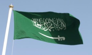 Image result for xinhua, saudi arabia