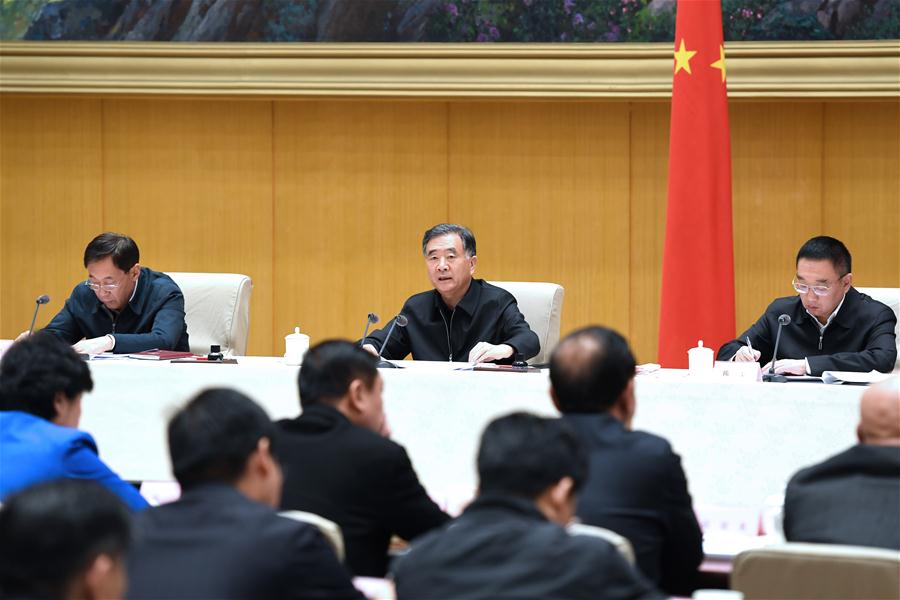 CHINA-BEIJING-WANG YANG-TELECONFERENCE (CN)
