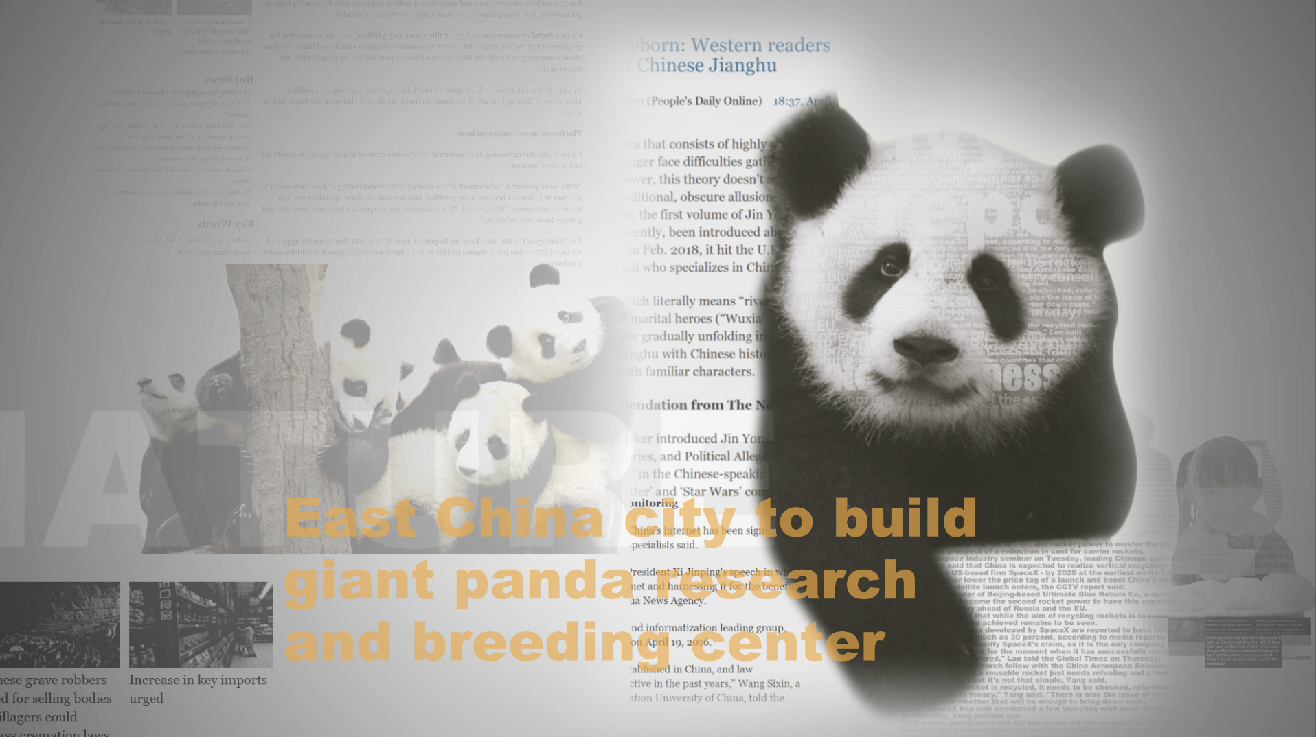 屏幕快照 2018-06-11 下午7.24.24.png