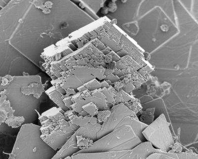 36-scientistsfi.jpg