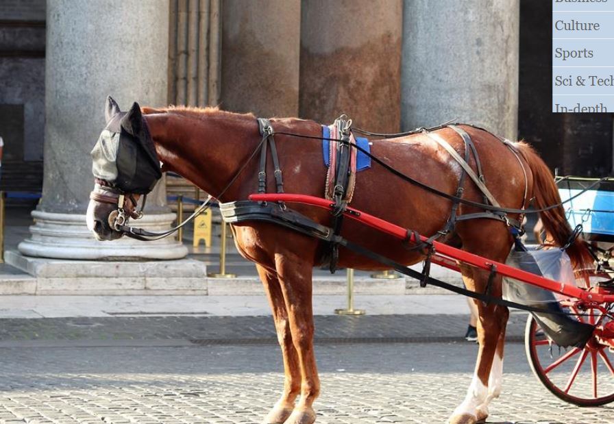 Horse.JPG