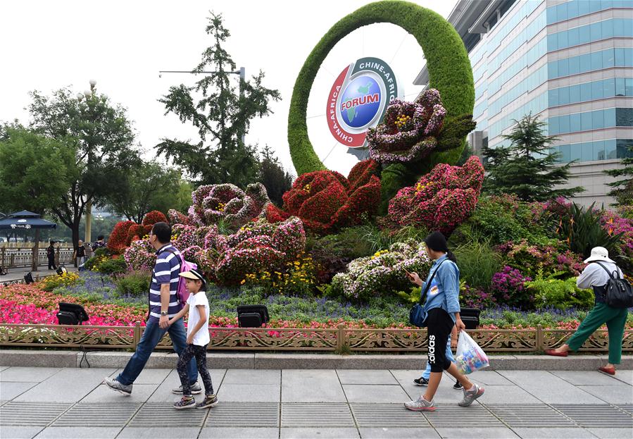 Xinhua Headlines: One year on, China navigates new era under Xi 