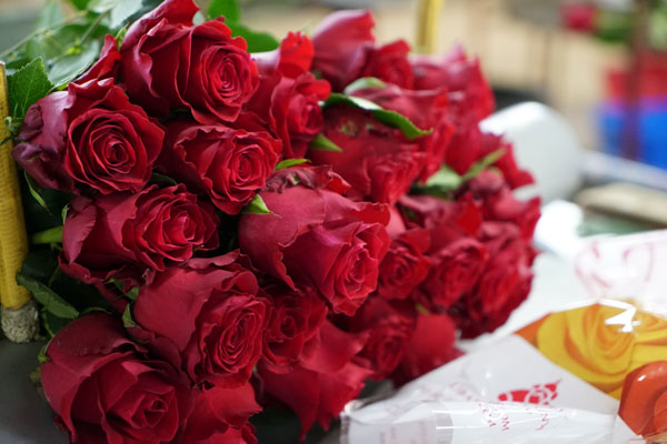 A file photo of Kenyan roses. [Photo: China Plus/Yang Qiong]